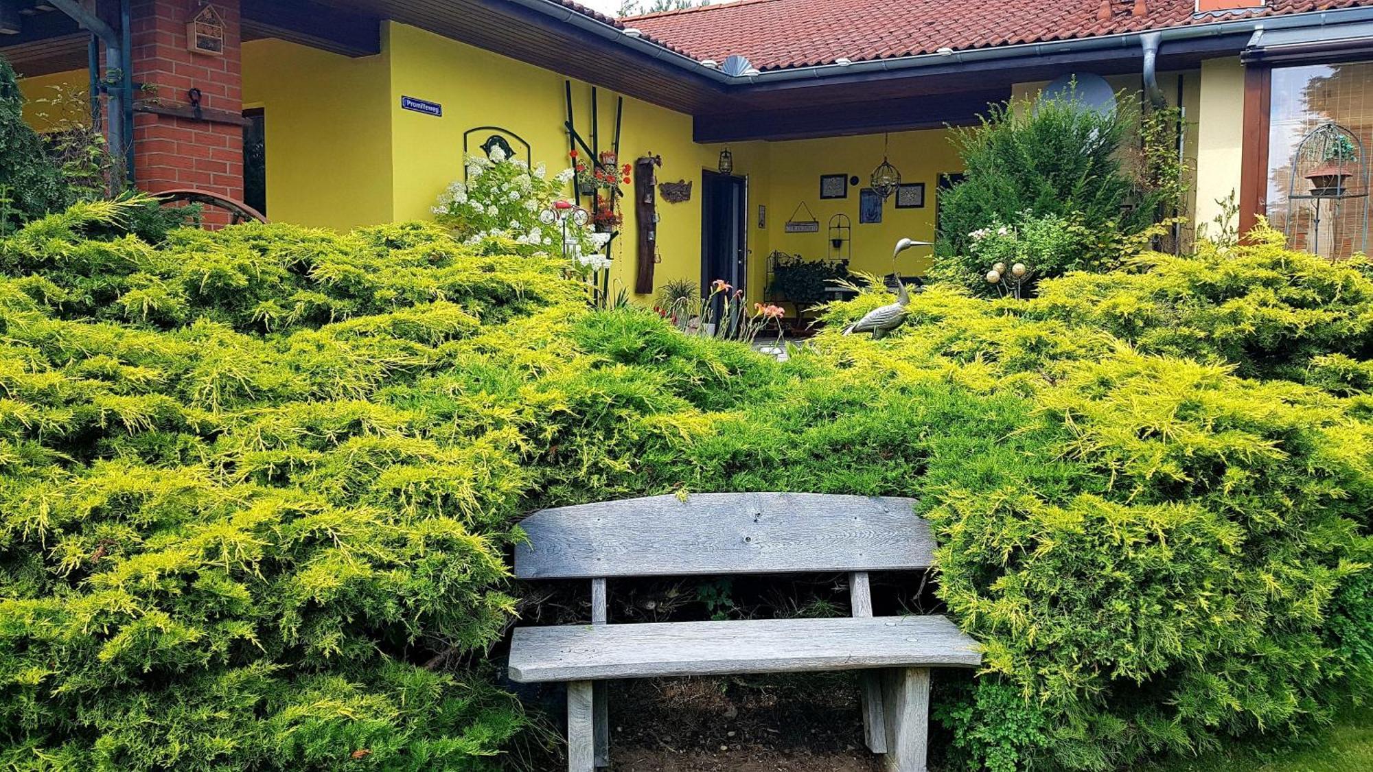 Ferienwohnung Guenther , 3 - Sterne Варен Экстерьер фото